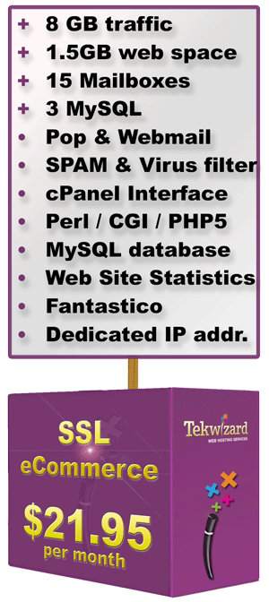 SSL-ECommerce Hosting